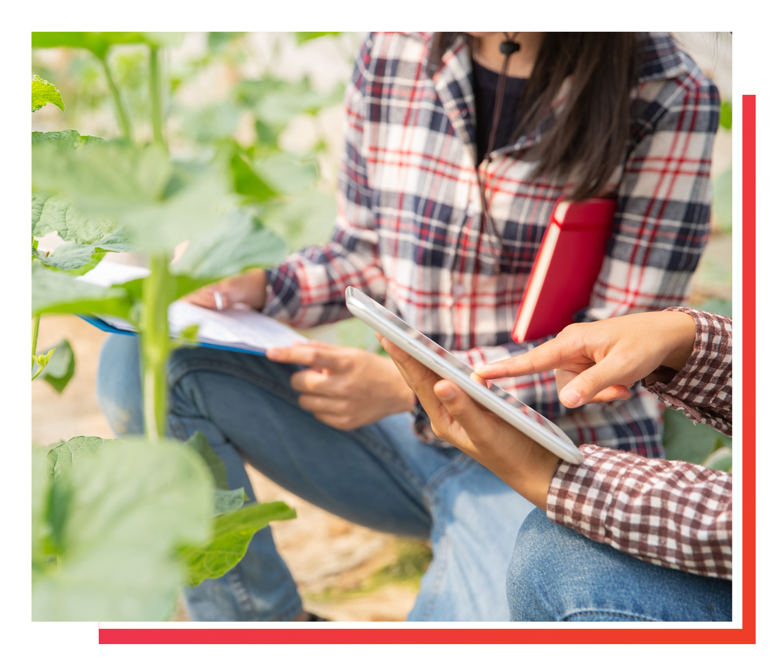 Tailored to Agriculture Industry